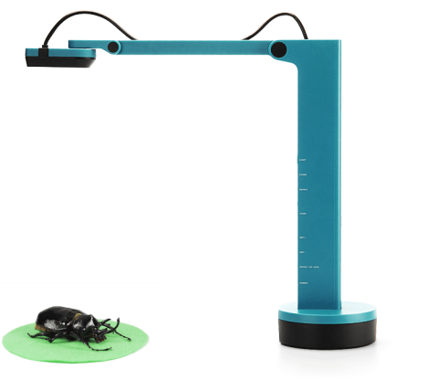 An L-shaped blue document reader above a large beetle.