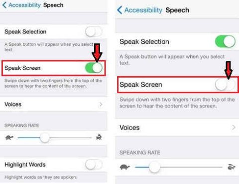 Screenshot of Speak Screen options in iOS Settings.