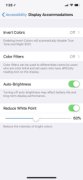 Screenshot of the iOS Accessibility settings on an iPhone with the Reduce White Point option at the bottom of the page of options.